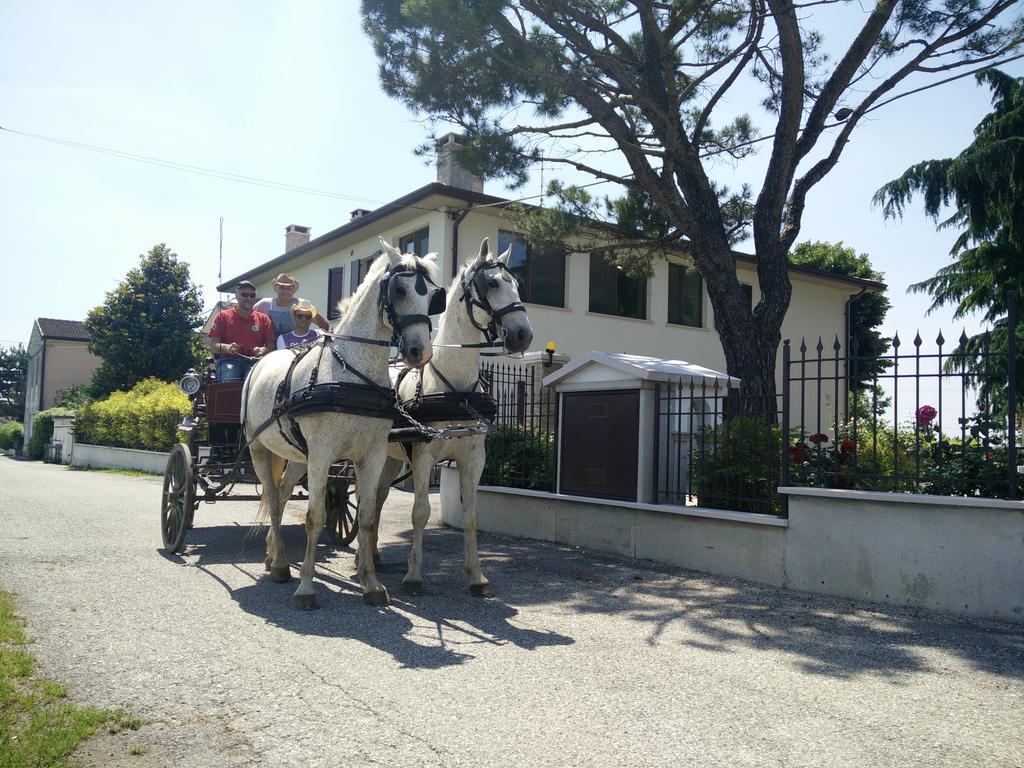 La Siesta Villafranca di Verona